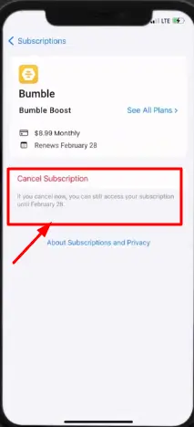 cancel bumble subscription button