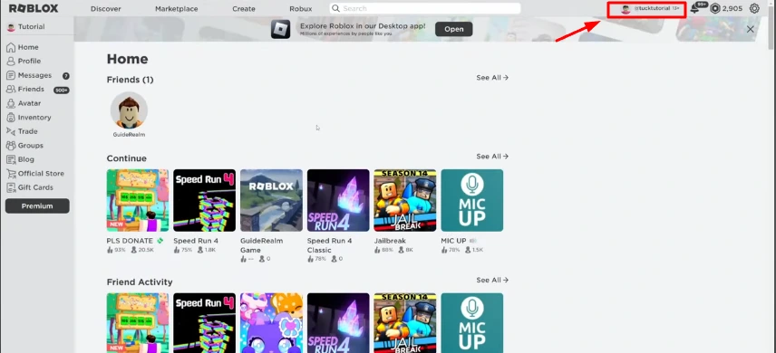 login profile of roblox