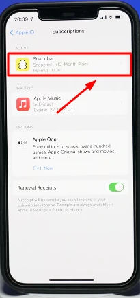 snapchat subscription on iphone