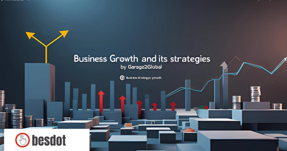 Business Growth by garage2global