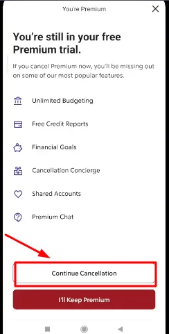 Rocket Money continue cancellation
