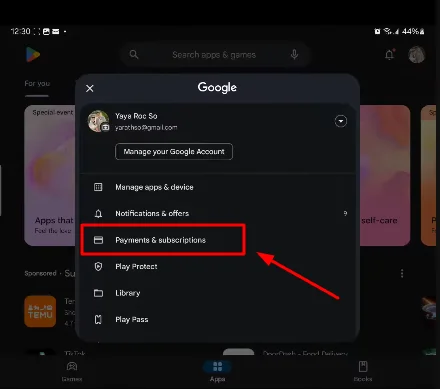 payments and subscription button