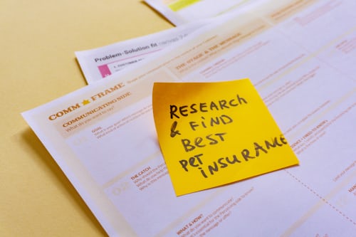 research and find best pet insurance