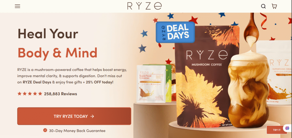 ryze website feature image