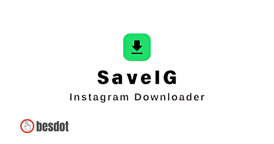 SaveIG.app 2025 guide