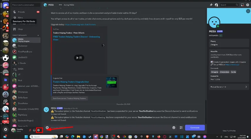 user settings in discord nitro