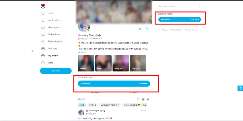 subscription portion of onlyfans