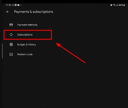 subscriptions at google play store