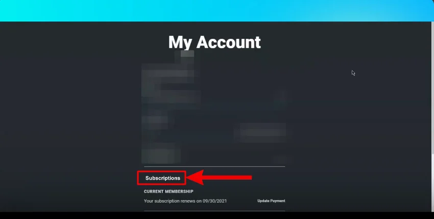 subscriptions button 