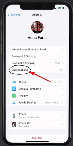 subscription which are active 