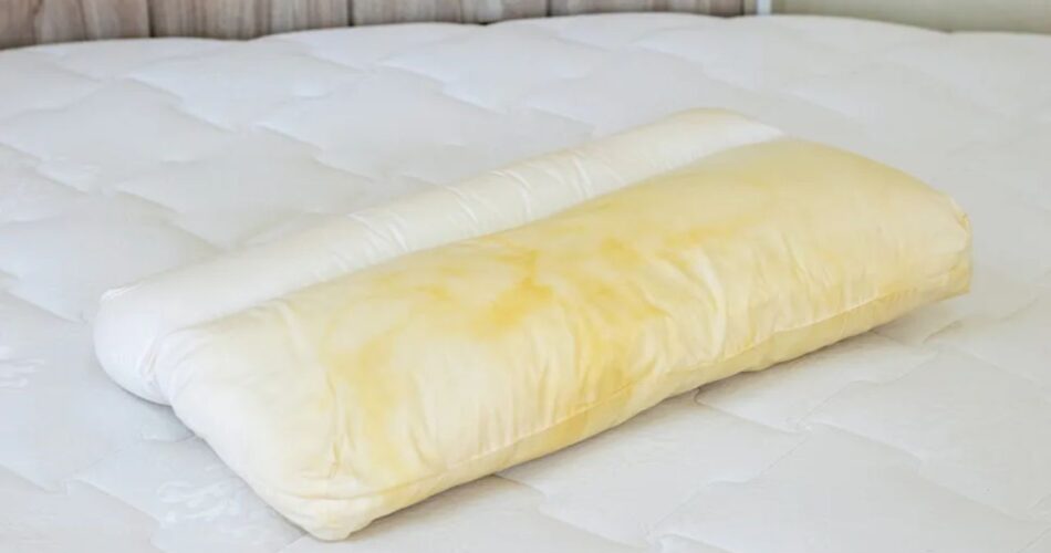 what is Why pillows turn yellow and how to tell if they’re healthy to sleep on