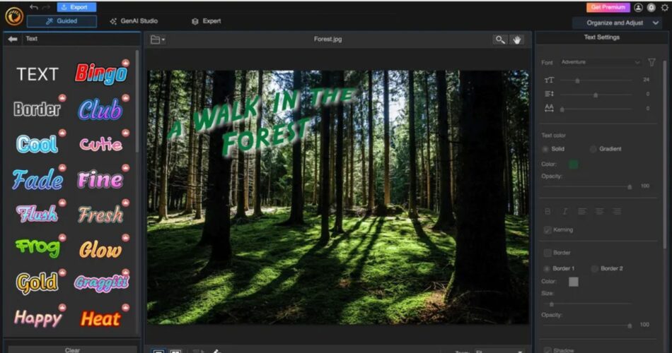 what is professional photgraphy editor